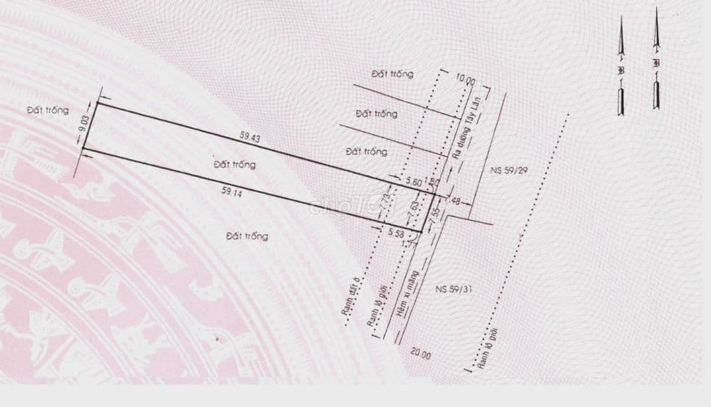 🔥 CHÍNH CHỦ BÁN 2 LÔ ĐẤT LIỀN KỀ – MẶT TIỀN HẺM 59 TÂY LÂN 🔥 - Ảnh 2