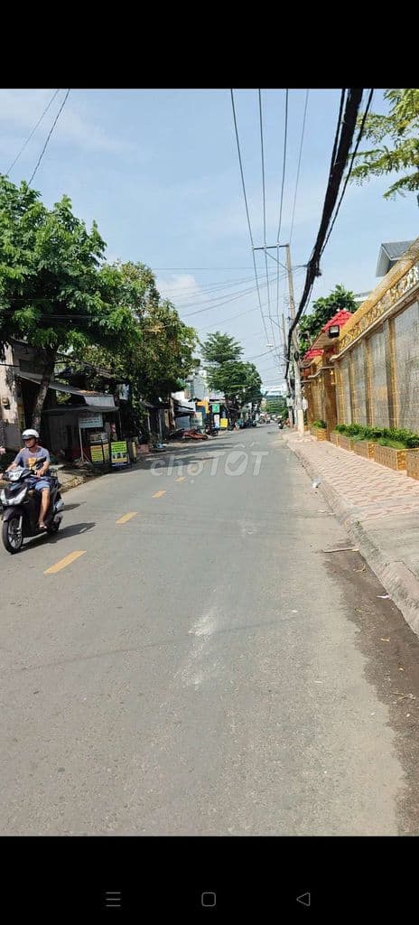 250 m2 mặt tiền miếu gò xoài - Ảnh 2