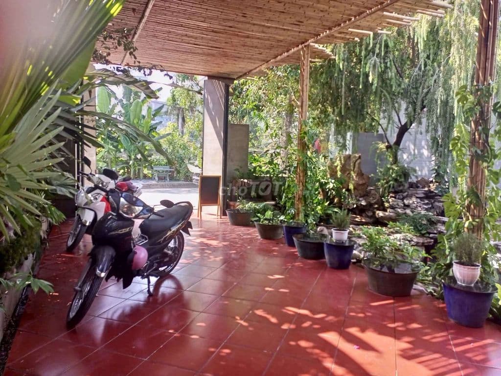 Biệt Thự Vườn 9m x 41m. Sát sông Sài Gòn Đường Thạnh Lộc 19 - Ảnh 3