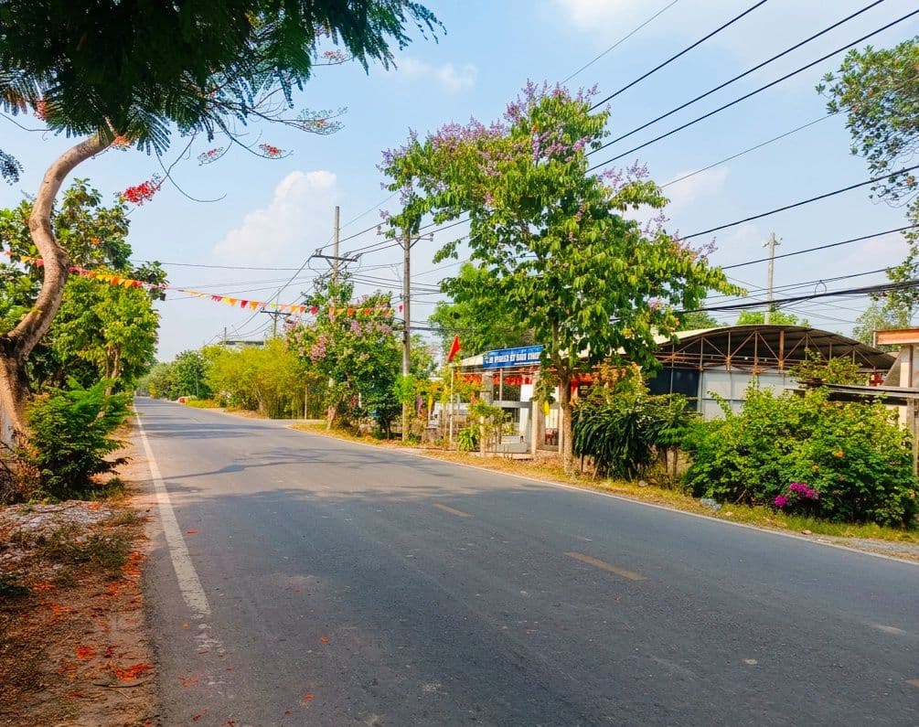 Xuất Ngoại - Bán giá Shock - Mặt tiền Bà Thiên lớn - Củ Chi - Ảnh 2