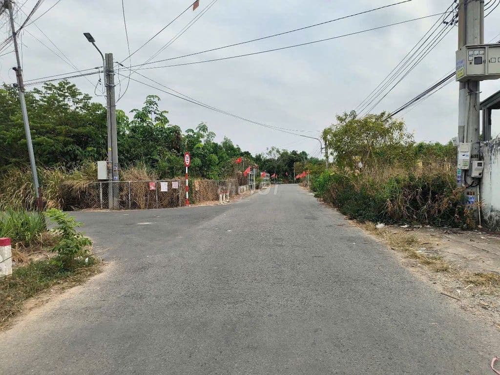 Bán lô đất 1 sẹc QL22 Xã Thái Mỹ , ngay khu dân cư 250m2 1,2 tỷ SHR - Ảnh 3