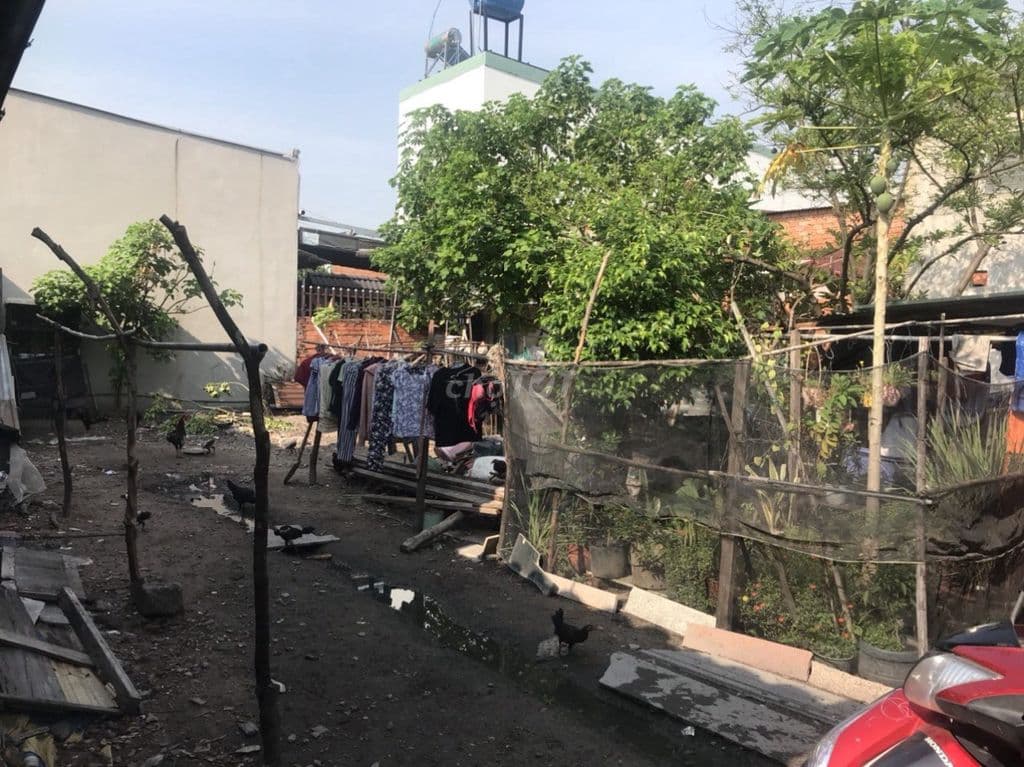 Bán đất ONT 10m x15.3m xã Hóc Môn mới, cách chợ HM 700m, coop DVD 400m - Ảnh 2