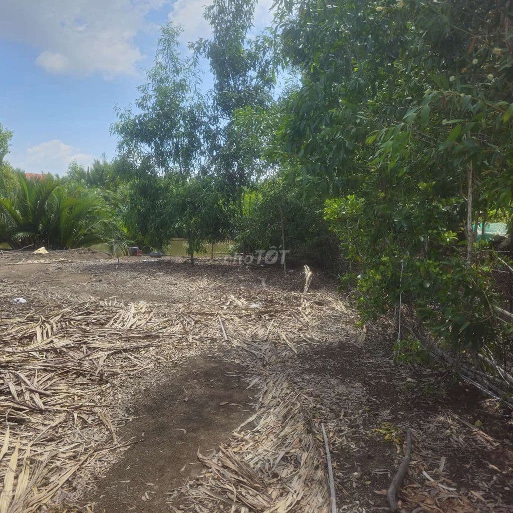 Đất Mặt Tiền Cần Giờ - Cơ Hội Vàng Đầu Trữ - Đón Đầu Sóng Hạ Tầng 2026 - Ảnh 3