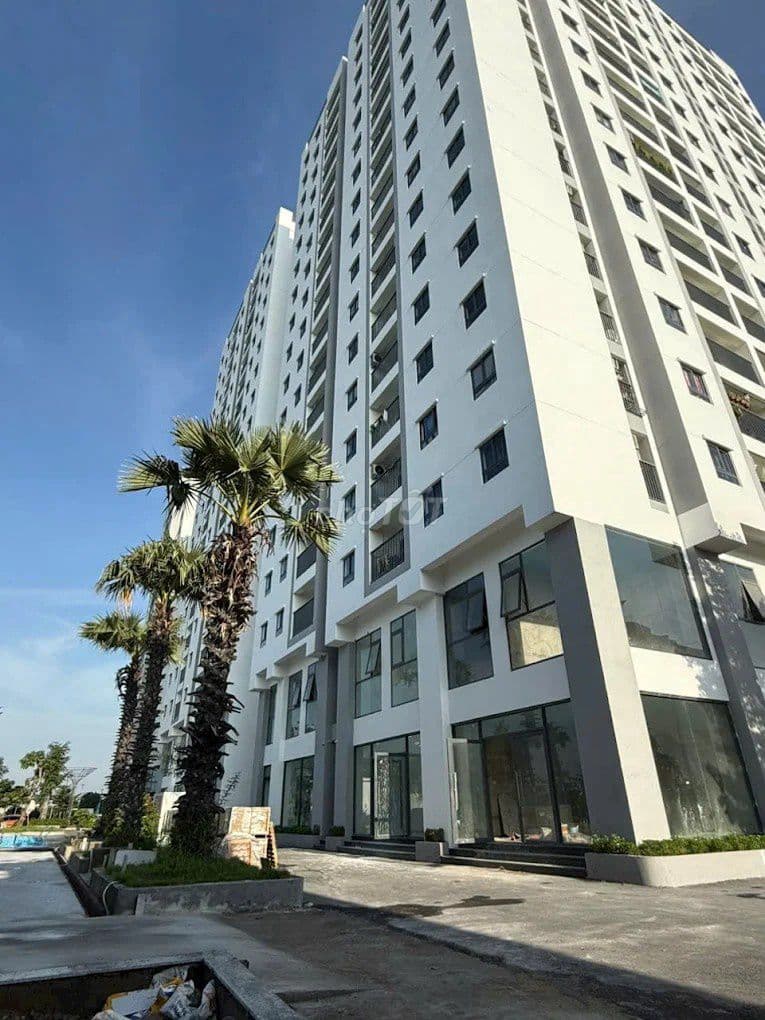 👉 Căn hộ Tecco Tower Q12 - 54m² - Giá chỉ 2.3 tỷ - Ảnh 3