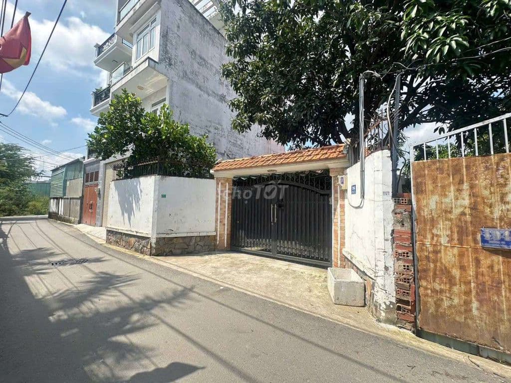 Đất mặt tiền đường xây biệt thự hoặc CHDV - Ảnh 2