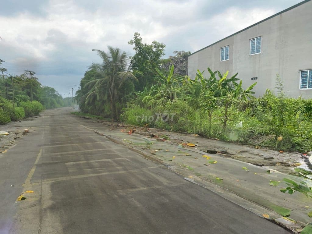 Chính chủ bán gấp lô đất nền Xã Tân Kiên Bình Chánh - Ảnh 3