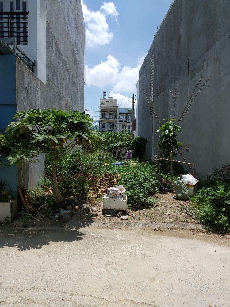 Đất siêu Hiếm Thị Trấn Củ Chi - 96,8m2 - 975tr - SHR công chứng ngay - Ảnh 3