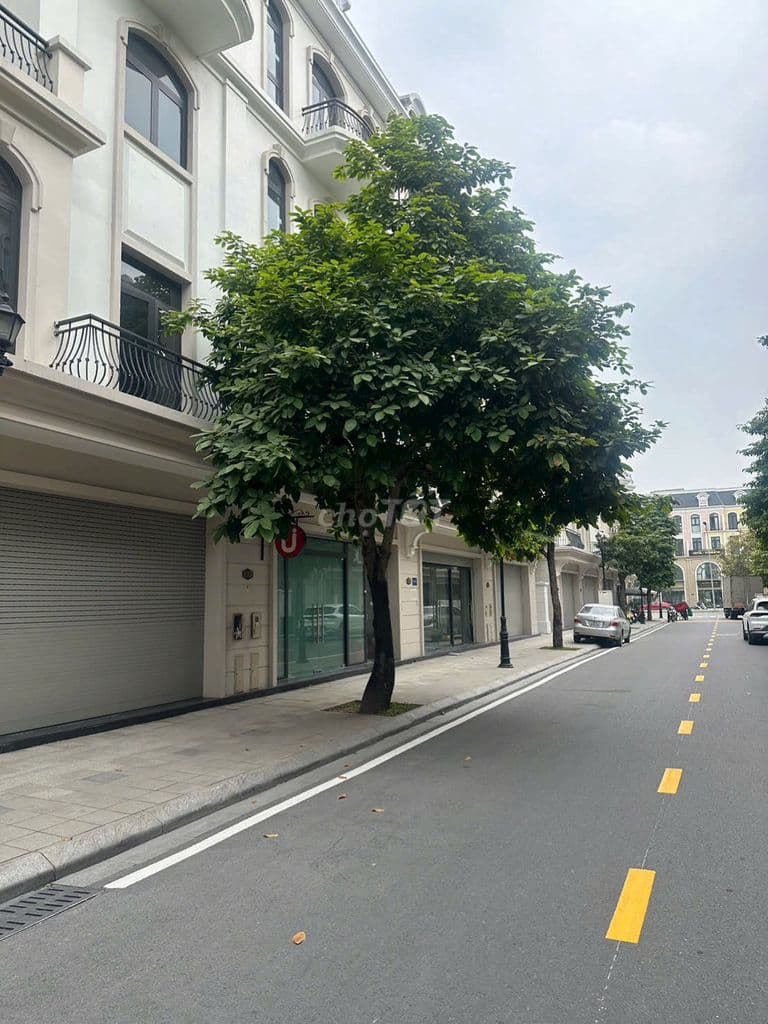 ✅SHOPHOUSE KINH ĐÔ ÁNH SÁNG-OCP2🛍️RA HÀNG QUỸ CĂN ĐẸP TRUNG TÂM CK CAO - Ảnh 3