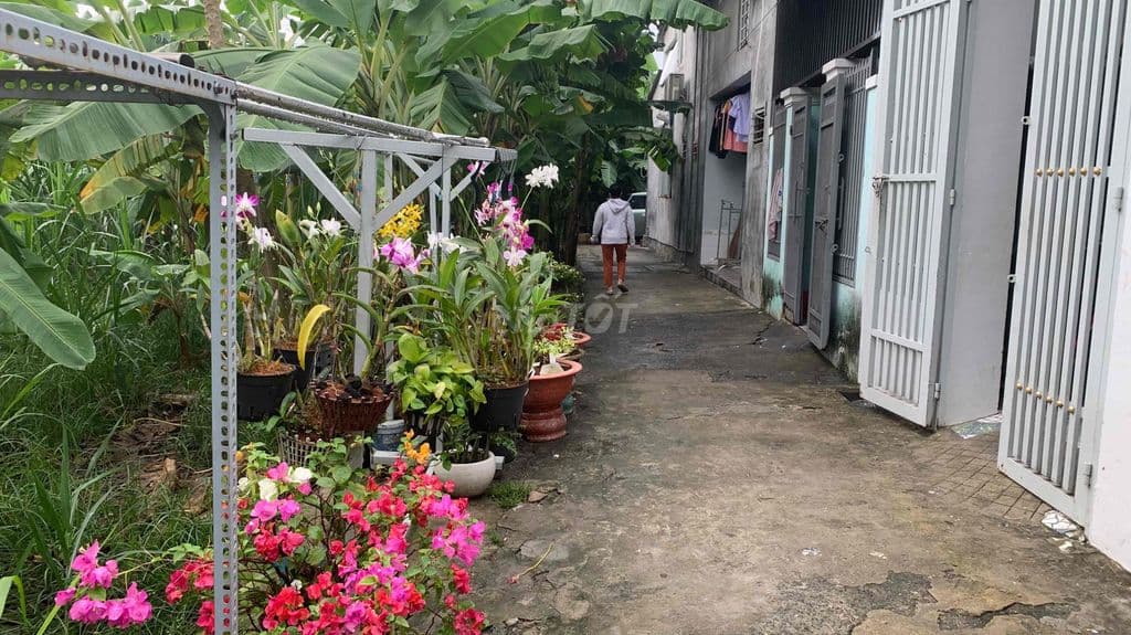 bán gấp đất Hóc Môn- Xuân Thới Thượng 24 - Ảnh 3