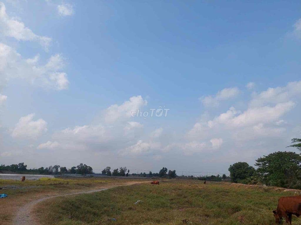 bán đất tân Vĩnh Lộc - Ảnh 3
