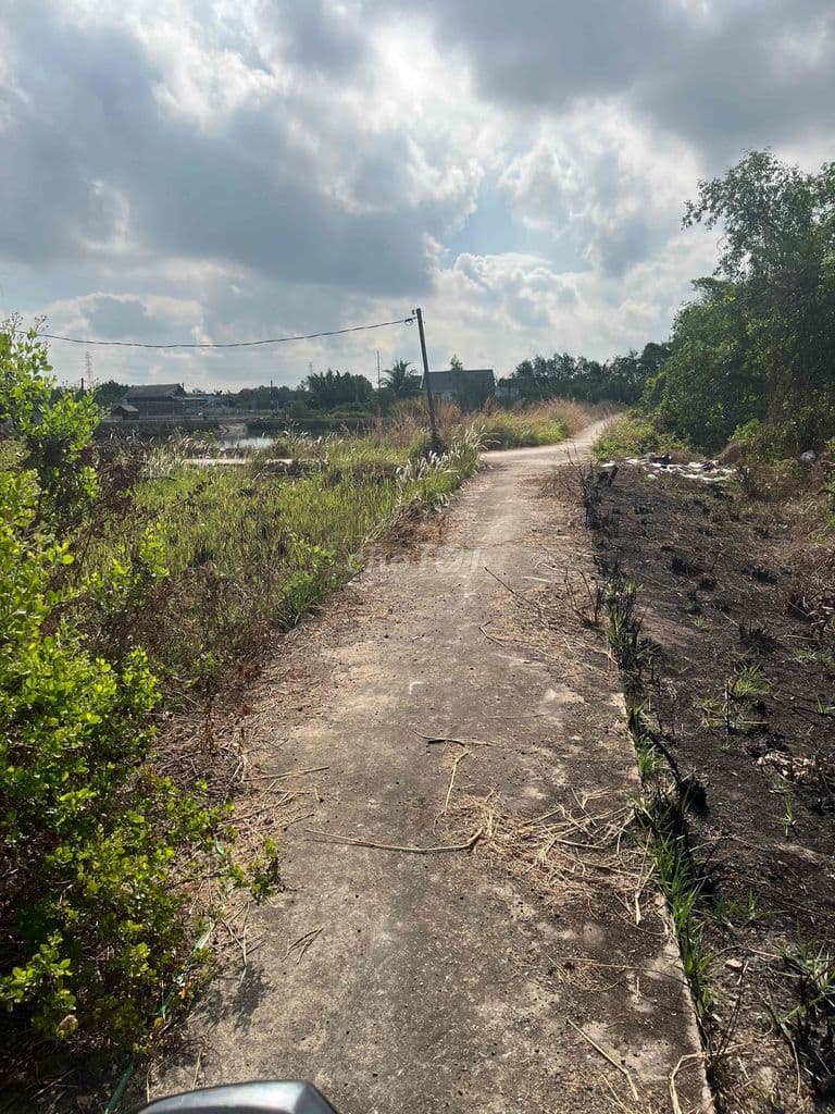 bán đất hàng năm tại bình khánh cần gio - Ảnh 2