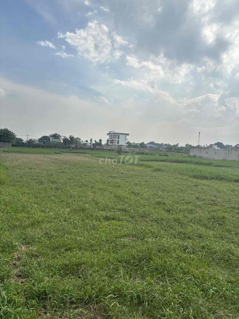 Bán đất Cây lâu năm mặt tiền hẻm nhựa ô tô tải - Ảnh 2