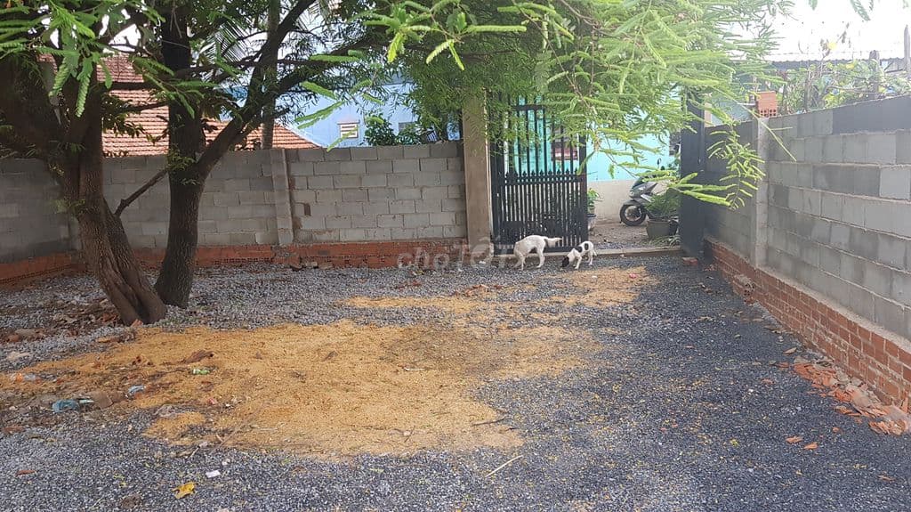 Bán Đất Khu Dân cư làm nhà sân vường 250m2 tại Tân Hiệp Hóc Môn