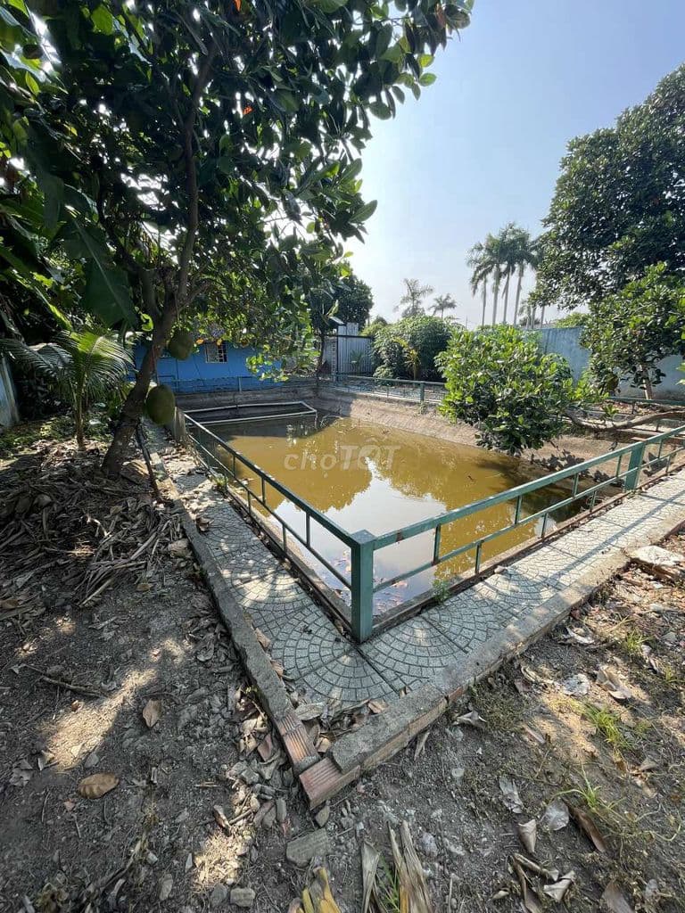 Nhà vườn 576m khu trại dê Đời Tân. Rạch Cây Xanh - Ảnh 2