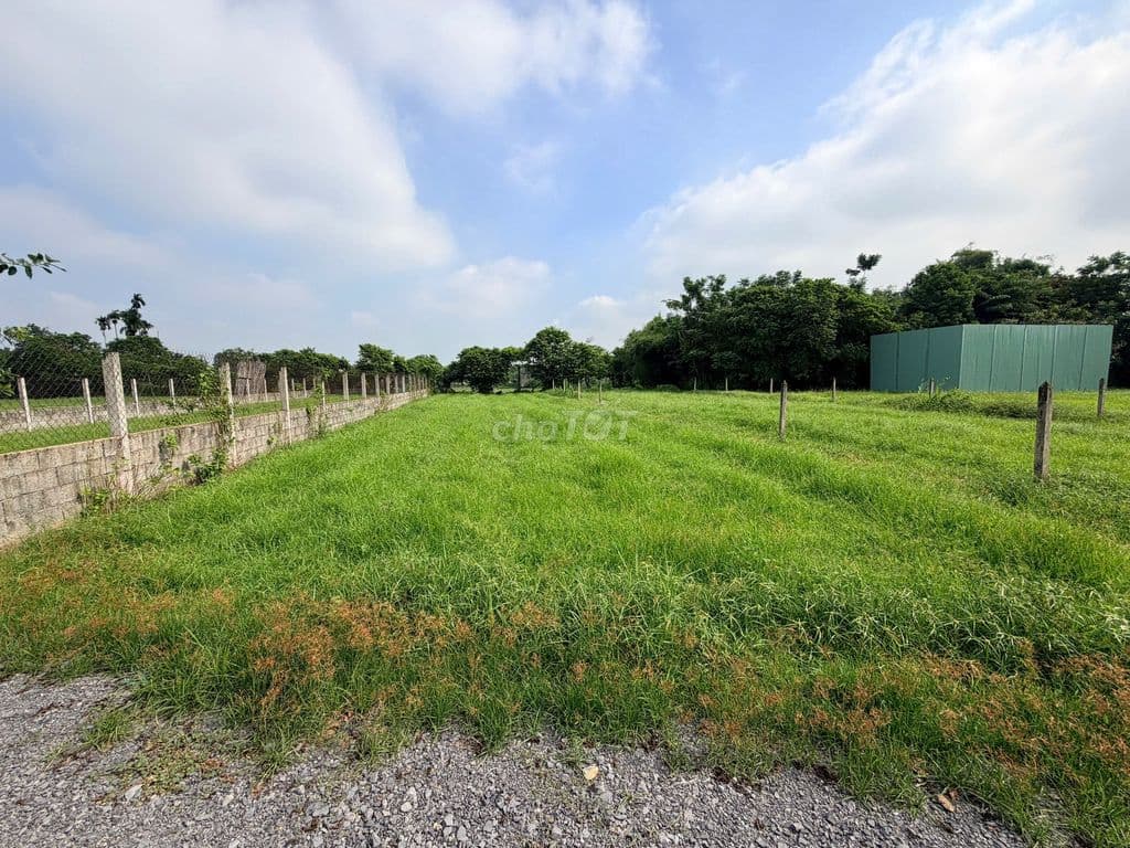 Hàng hiếm Tân Phú Trung 90m2 SHR 1,350 tỷ