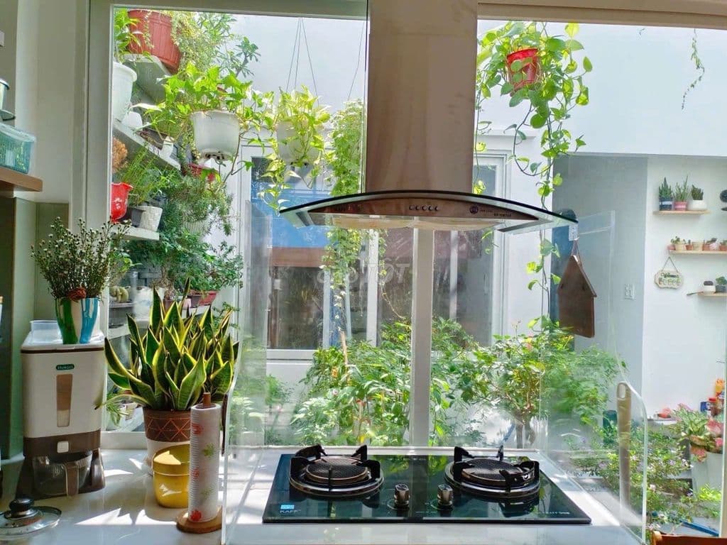 Bán Biệt thự sân vườn mini ngay Bình Tân - Ảnh 3