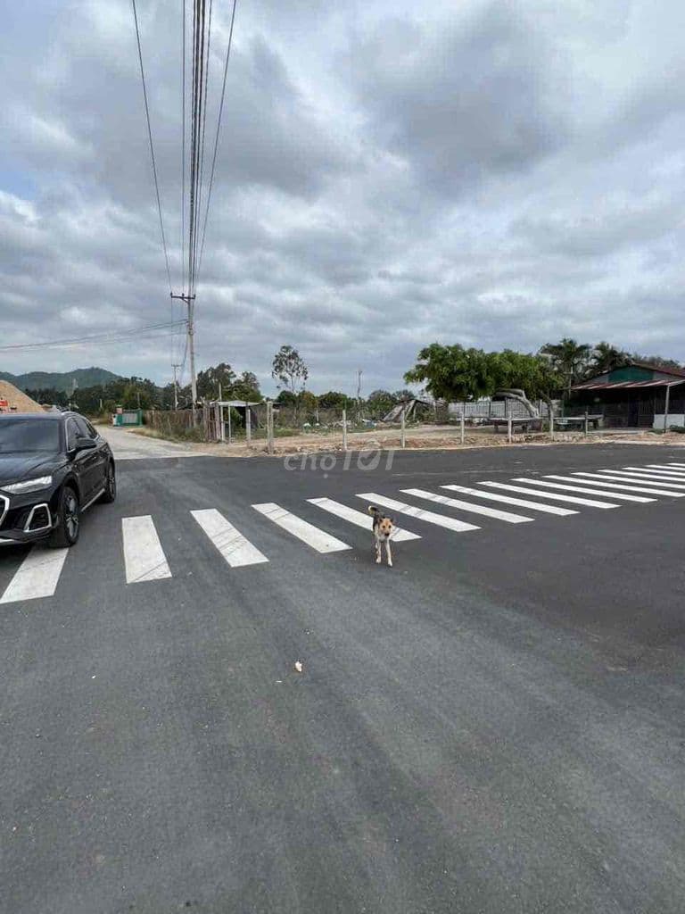 Đất mặt tiền Lê Lơi và Lê Duẫn , Cam Ranh, dt 1785m2 - Ảnh 2