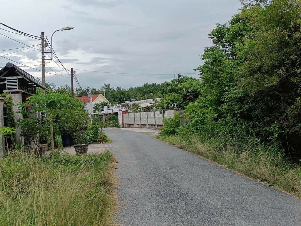 Ngộp giảm giá sốc, mt đường 762, dt 158m, full thổ cư, xã An Nhơn Tây - Ảnh 3