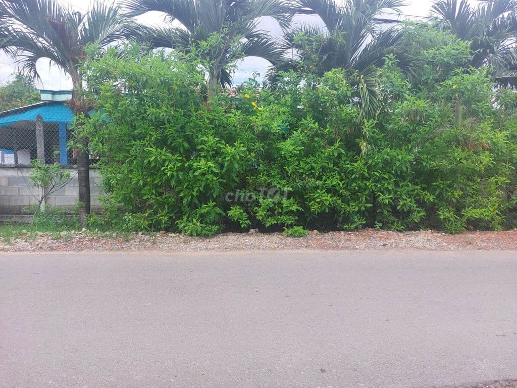 ĐẤT CC 510m²- 518 TRIỆU - KHÔNG MUA TÀI SẢN NÀY THÌ TÌM TÀI SẢN NÀO?