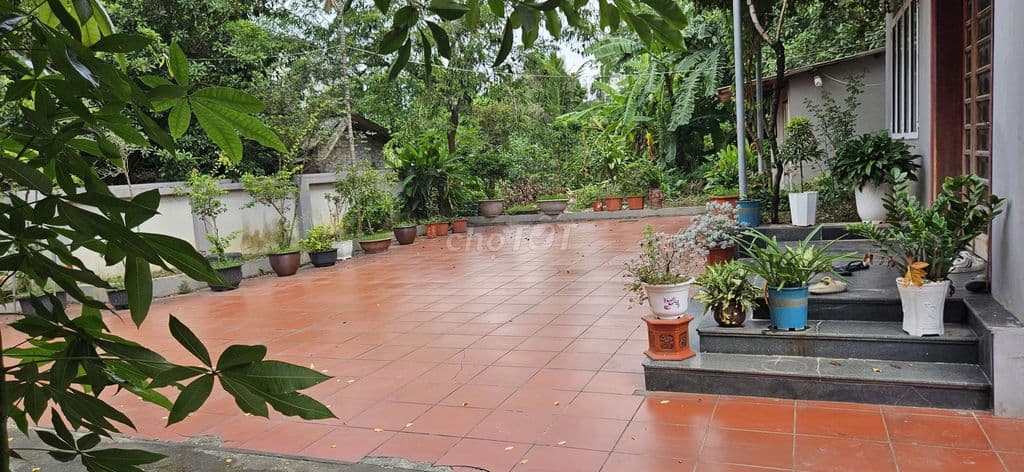 🎯🎯Hiếm! Đất Đẹp 70m2 Thôn Đìa – Vị Trí Trung Tâm – Sát Công Viên - Ảnh 2