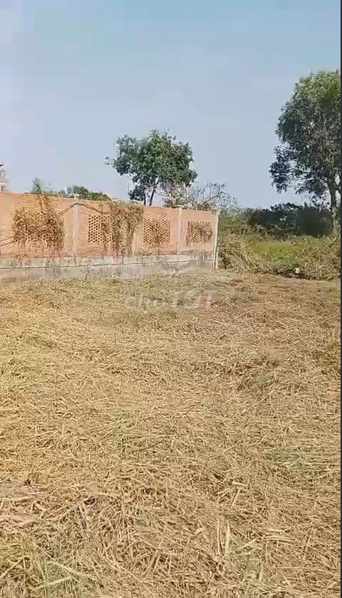 ĐẤT BIỆT THỰ BIỂN - SÁT SAU SÂN GOLF VIN PARADISE CẦN GIỜ - Ảnh 3