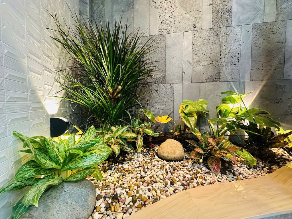 NHỈNH 8 TỶ🏡VILLA NHÀ Ở THÔNG MINH, NGAY QUẬN 1💎NGANG 9X9M💎GỒM 3 TẦNG - Ảnh 3