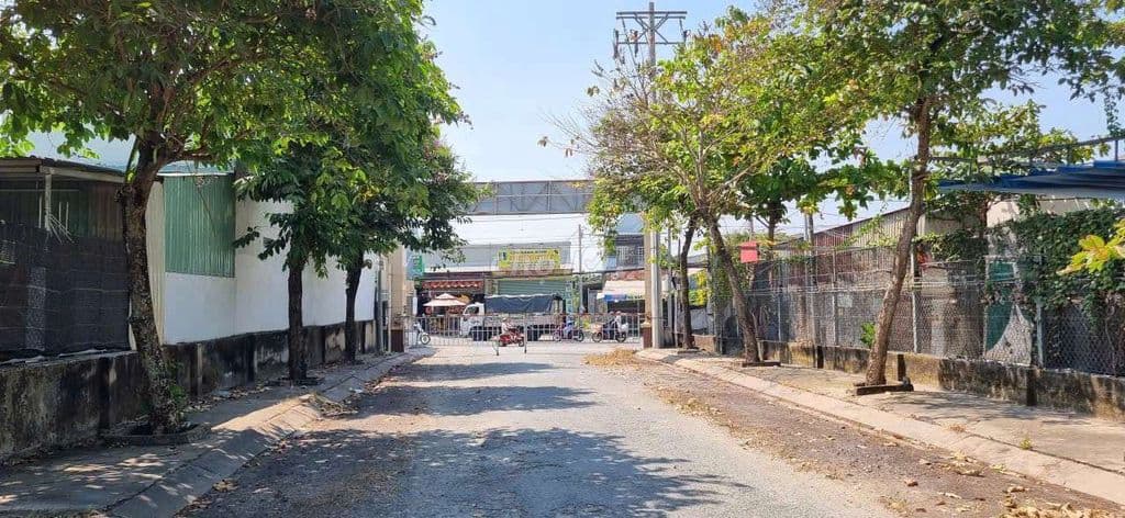 BÌNH CHÁNH - ĐINH ĐỨC THIỆN - PHÂN LÔ TÁCH THỬA - 1400M2 THỔ CƯ C CHỦ - Ảnh 2