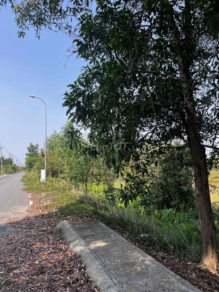 Bán đất MT Đường Nguyễn Thị Lèn sát Sông Sài Gòn - Ảnh 3