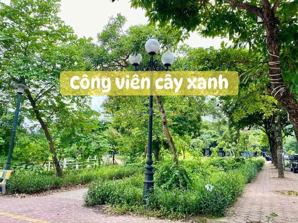 Biệt Thự Liền Kề Khu Đô Thị Mới Sài Đồng Long Biên - Ảnh 3