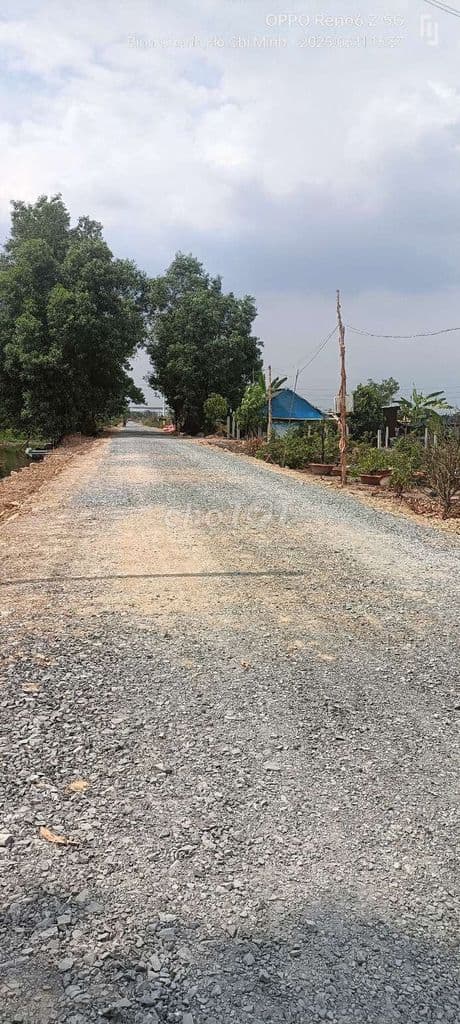 Bán Đất nông nghiệp mặt tiền Kênh 4, Vườn Thơm, Bình Lợi, Bình Chánh.