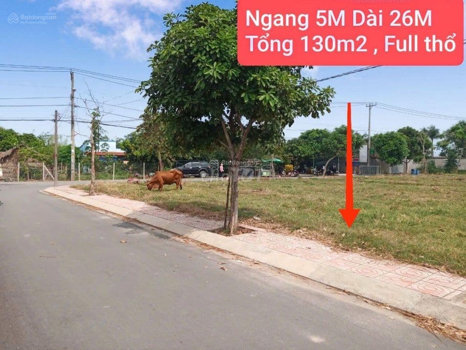 Bán lô đất 131m2 Đ. Hồ Văn Tắng xã Tân Phú Trung Củ Chi - Ảnh 2