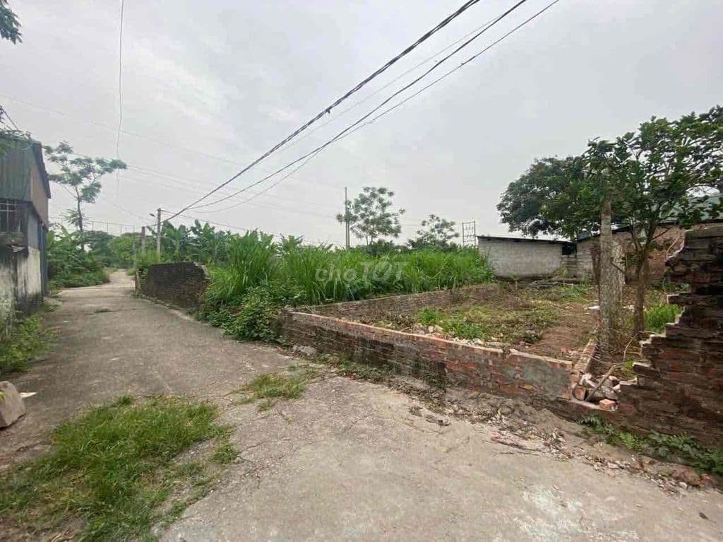 BÁN ĐẤT ĐẠI YÊN, CHƯƠNG MỸ - 64M2 - GIÁ 2,65 TỶ (CÓ THƯƠNG LƯỢNG) - Ảnh 3