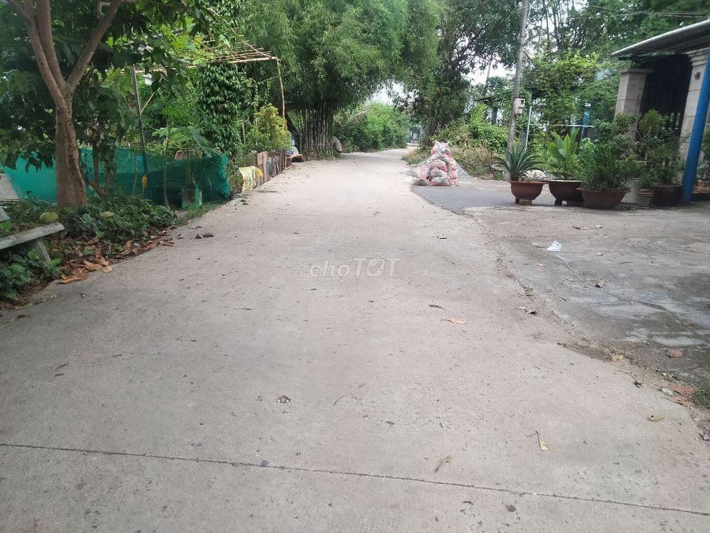 Bán đất thổ cư 406m2 gần sông Sài Gòn xã Bình Mỹ, giá rẻ - Ảnh 3