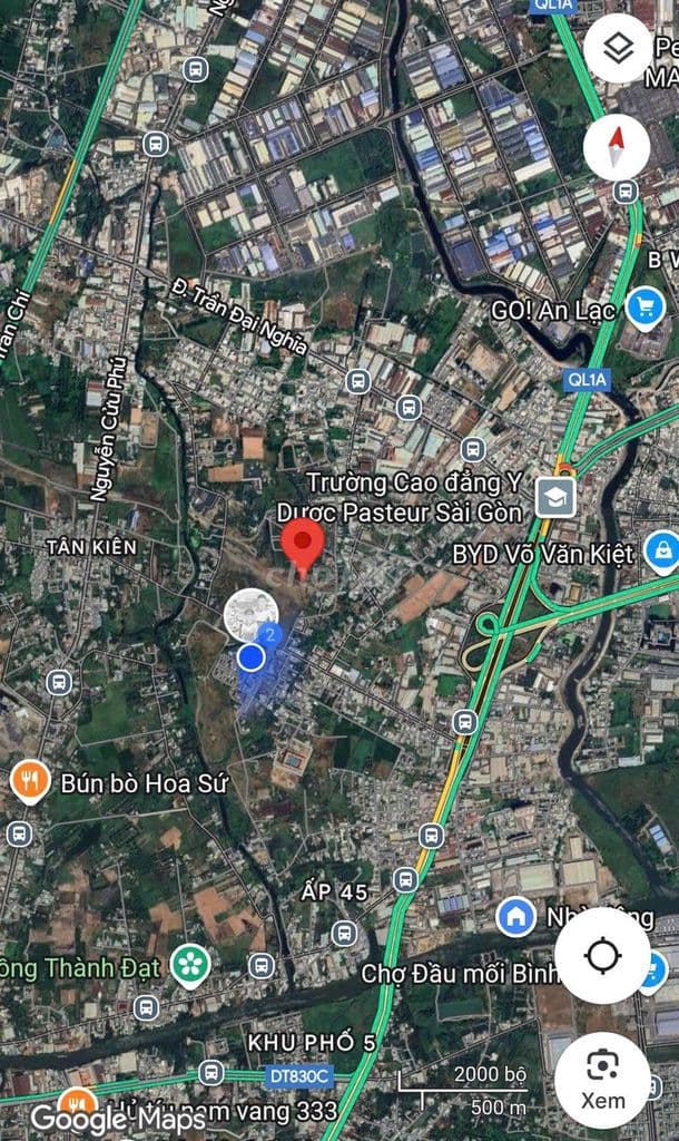 BÁN ĐẤT TRỒNG CÂY LÂU NĂM XÃ TÂN NHỰT ( TÂN KIÊN-BÌNH CHÁNH) - Ảnh 3