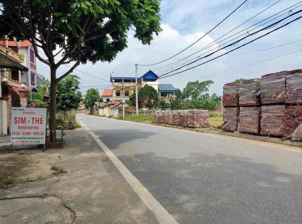 Lô Góc Đất Đấu Giá Ninh Kiều Tân Dân - Sóc Sơn - Ảnh 2