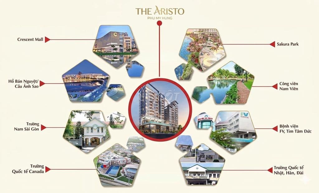 🔥Sắp Mở Bán The Aristo Phú Mỹ Hưng - 120-150 Triệu/ M2 - Ảnh 2