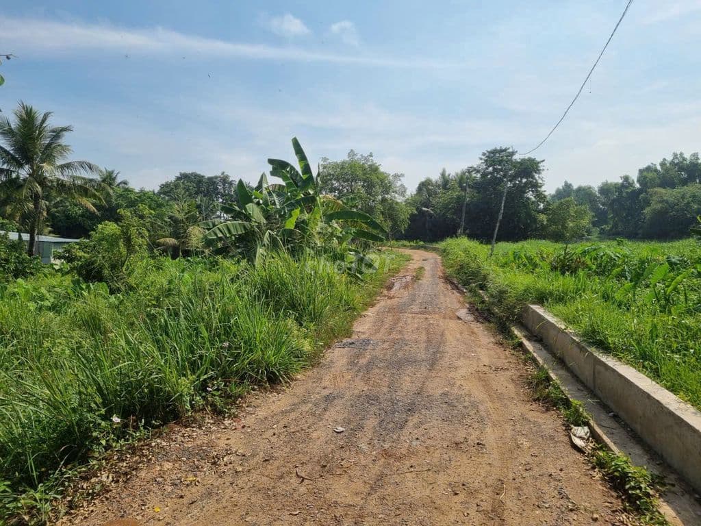 🔥 CHÍNH CHỦ CẦN BÁN LÔ ĐẤT ĐẸP HÓC MÔN (QUẬN 12) – 2 MẶT TIỀN HIẾM 🔥 - Ảnh 2