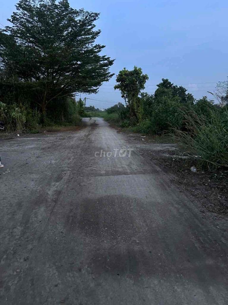 đất ấp 5 xã bình mỹ.đường 7m.DT: 5m x 25.5m fun thổ cư.shr - Ảnh 2