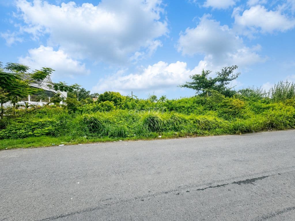 CHỦ NGỘP GIẢM SÂU – BÁN ĐẤT TRỒNG CÂY LÂU NĂM 679m² - Ảnh 3