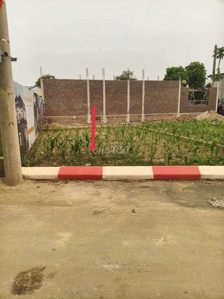 mới mua năm ngoái nhưng năm nay thua lỗ bán gấp, rẻ hơn lúc mua 100tr