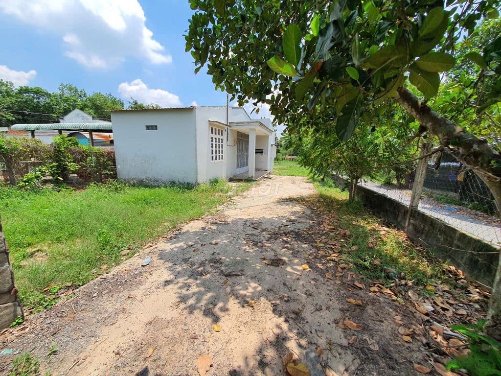 5.5x24 mặt tiền đường Bà Thiên bán 1.75 tỷ - Ảnh 2