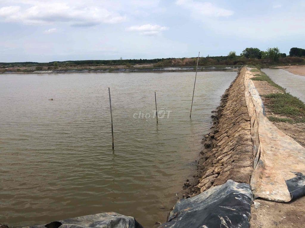 Chính chủ bán đất Thuỷ Sản Lý Nhơn Cần Giờ
