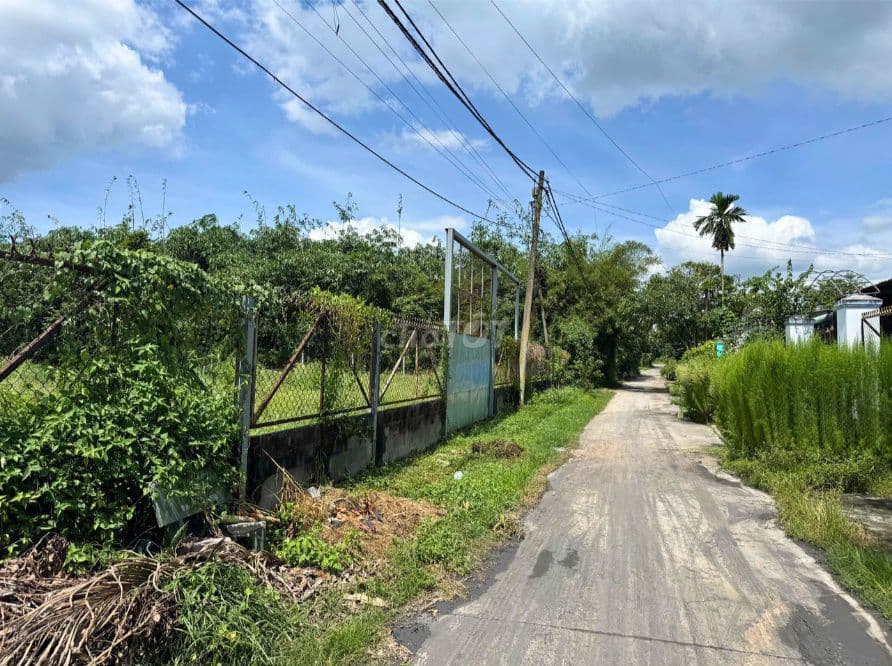 Bán đất xây biệt thự vườn 1.493 m² Xã Nhuận Đức, Huyện Củ Chi - Ảnh 2