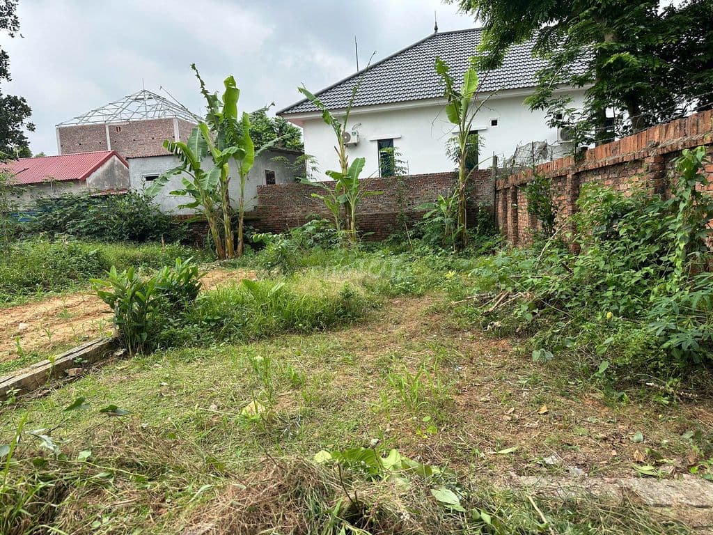 80m full thổ cư đan tảo tân minh sóc sơn hà nội - Ảnh 3