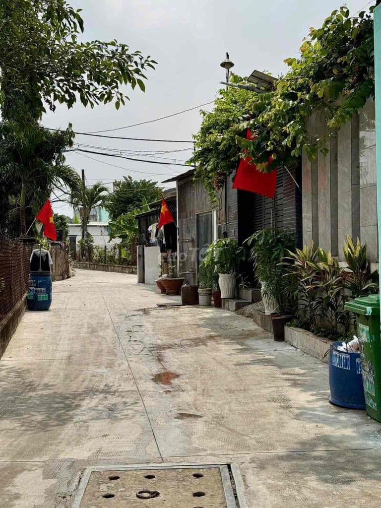 5x20 Tân THOI NHI - Ảnh 3