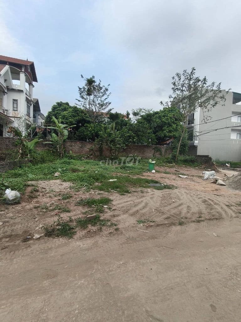 BÁN ĐẤT XÃ HƯNG ĐẠO QUỐC OAI HÀ NỘI 250M2 LÔ GÓC FULL THỔ CƯ OTO - Ảnh 3