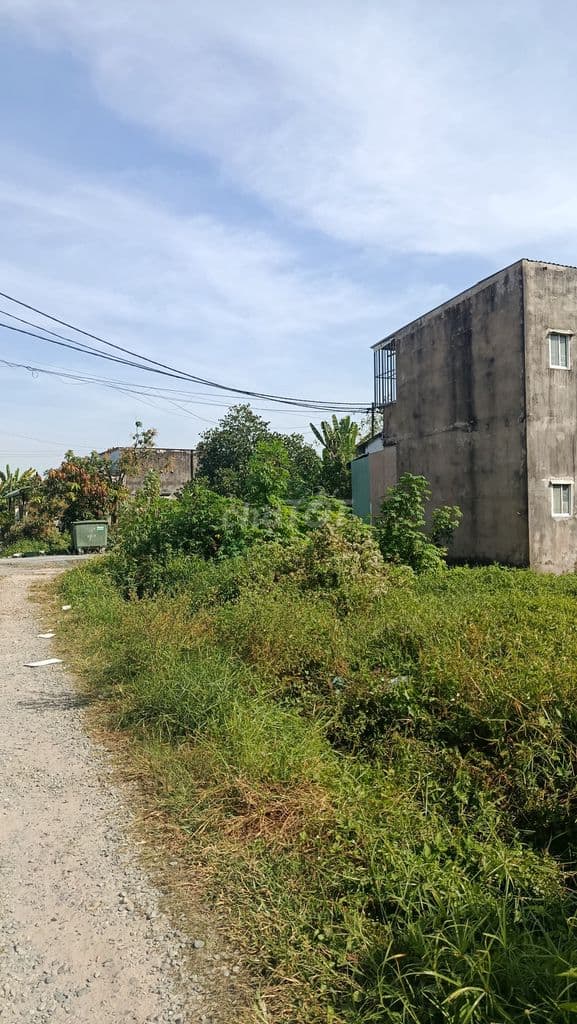 Đất sạch cách đại lộ Xuyên Á 400m bên cạnh THPT Tân Thông Hội - Ảnh 3