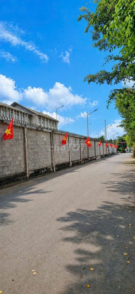 CẦN BÁN LÔ ĐẤT THỔ CƯ VÀ VƯỜN – ĐƯỜNG SỐ 9, HIỆP BÌNH PHƯỚC, THỦ ĐỨC - Ảnh 2