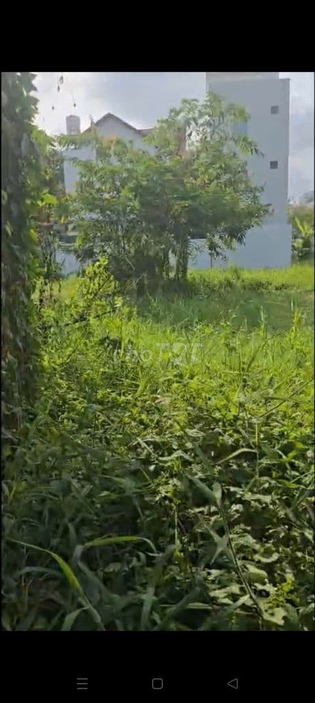 chủ cần tiền bán gấp ạ ,giá thương lượng .LH hoà - Ảnh 3