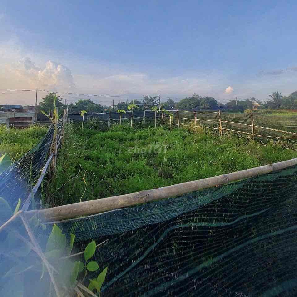 Chính chủ bán đất 4x12m=48m2, cách ubnd vĩnh lộc b 1km